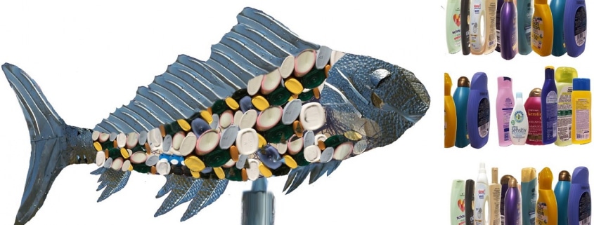 Visualisierung Upcycling Fisch + Darstellung von Plastikflaschen, die zur Umsetzung gesammelt bzw. abgegeben werden sollen