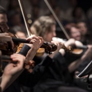Geiger eines Orchesters
