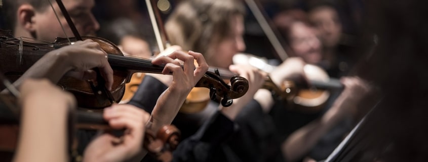Geiger eines Orchesters