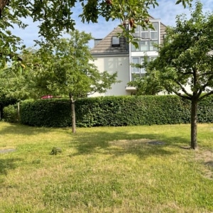 Wohnungsbaugenossenschaft in Berlin