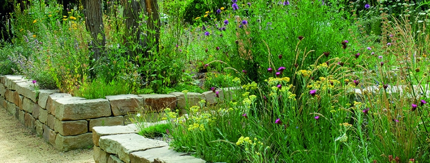 Bild eines bereits errichteten PikoParks.